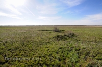 Курганная группа