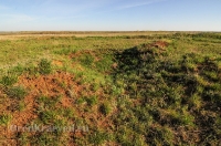 Курганная группа