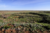 Курганная группа