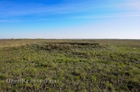 Курганная группа