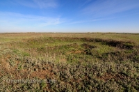 Курганная группа