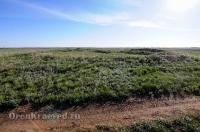 Курганная группа