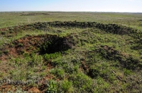 Курганная группа