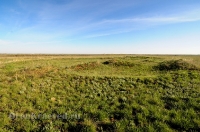 Курганная группа