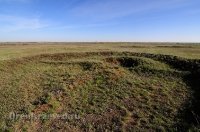 Курганная группа