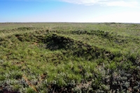 Курганная группа