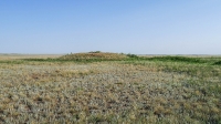 Четыре кургана близ села Карабутак. Май 2021 года