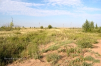 Чапаевские колки, фрагмент вала Перовского