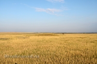 Степные урочища с курганами Три Мара