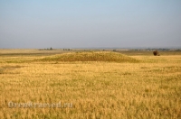 Степные урочища с курганами Три Мара