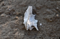 Степные урочища с курганами Три Мара