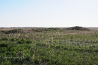 Степные урочища с курганами Три Мара