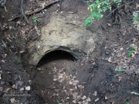 Старо-Ордынский рудник