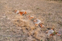 Укреплённое поселение Аландское (Аландское городище). Июль 2012 года
