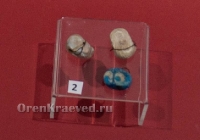 Курганный могильник Солончанка II