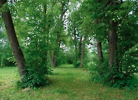 Аксаковский парк