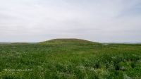 Курганы у дороги Гай-Оренбург