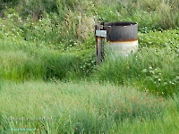 Дубенско-Лещевский родник. Август 2023 года