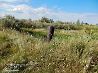 Дубенско-Лещевский родник. Август 2023 года