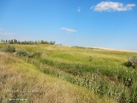 Дубенско-Лещевский родник. Август 2023 года
