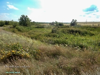 Дубенско-Лещевский родник. Август 2023 года