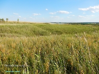 Дубенско-Лещевский родник. Август 2023 года