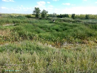 Дубенско-Лещевский родник. Август 2023 года