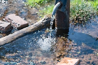 Родник близ посёлка Вторая Пятилетка. Апрель 2025 года