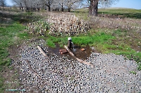 Родник близ посёлка Вторая Пятилетка. Апрель 2025 года