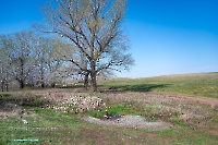 Родник близ посёлка Вторая Пятилетка. Апрель 2025 года