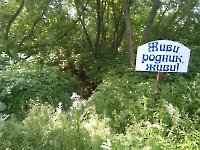 Кувшиновский родник