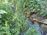 Кувшиновский родник