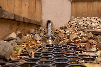 Родник Поповский. Осень 2023 года