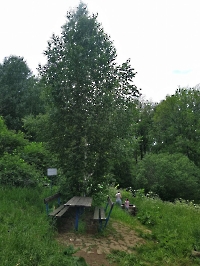 Родник Кашара