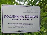 Родник Кашара