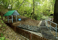 Родник Ветеран. Октябрь 2022 года