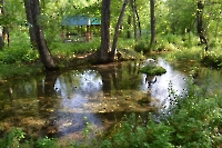 Родник Крюковский