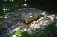 Родник Крюковский