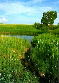 Родник Изумрудный