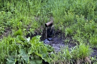 Родник близ деревни Малое Чураево. Май 2013 года