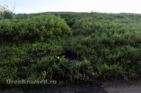 Родник близ деревни Малое Чураево. Май 2013 года