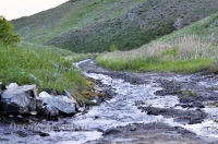 Царский родник