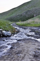 Царский родник