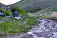 Царский родник