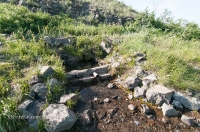 Царский родник