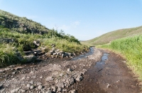 Царский родник