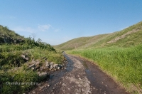 Царский родник