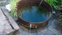 Родник Белоглинка