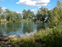 Родник «Придорожный». 2016 год