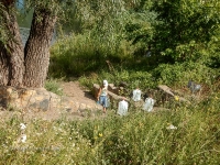 Родник «Придорожный». 2016 год